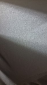 1000039450.jpg