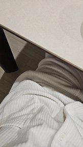 input_image_461391410.jpg