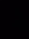 input_image_2996524180.jpg