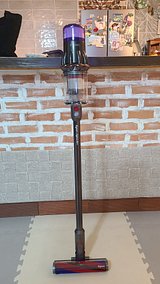 1000029043.jpg
