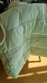 input_image_338332925.jpg