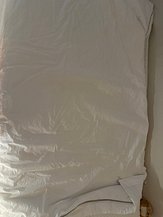IMG_3158.jpeg