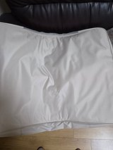 input_image_1055970725.jpg