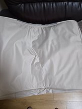 input_image_1055970725.jpg