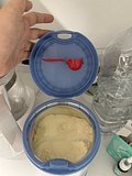 IMG_8445.jpeg