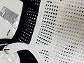 IMG_3817.jpeg