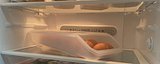 IMG_1318.jpeg