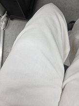 input_image_10750702.jpg