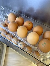 IMG_0746.jpeg