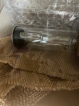 IMG_7315.jpeg
