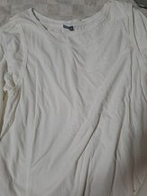 input_image_2279053215.jpg