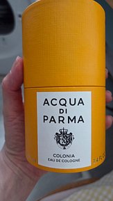 input_image_400311307.jpg
