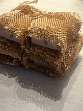 IMG_9295.jpeg