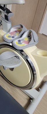 input_image_236930956.jpg