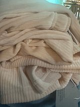 IMG_0961.jpeg