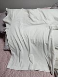 input_image_45904225.jpg
