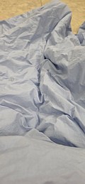 input_image_484112005.jpg