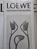 input_image_643576638.jpg