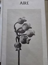 input_image_643643121.jpg