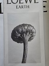 input_image_643693944.jpg