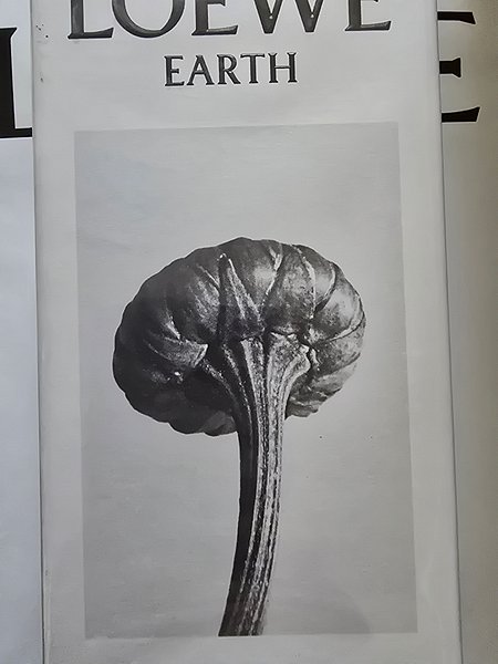 input_image_643693944.jpg