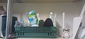 input_image_432010476.jpg