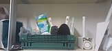 input_image_432010476.jpg