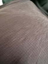 IMG_7632.jpeg