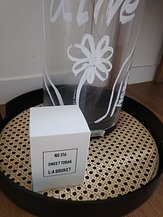 input_image_6392742.jpg