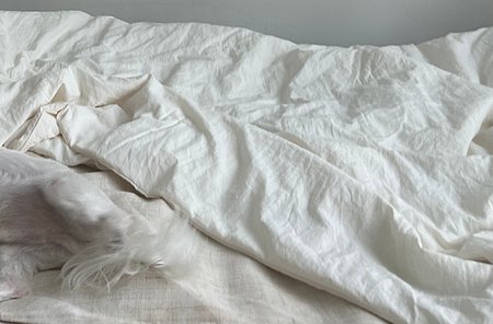 IMG_9028.jpeg