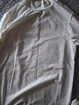 input_image_1102975781.jpg