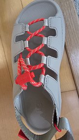 input_image_6187669.jpg