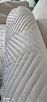 input_image_39653946.jpg