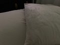 IMG_4906.jpeg