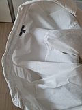 input_image_697466317.jpg
