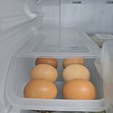 1000005601.jpg
