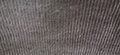 input_image_797283055.jpg