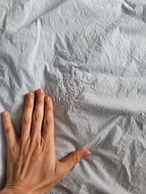 1000038753.jpg