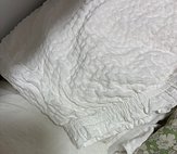 IMG_3295.jpeg