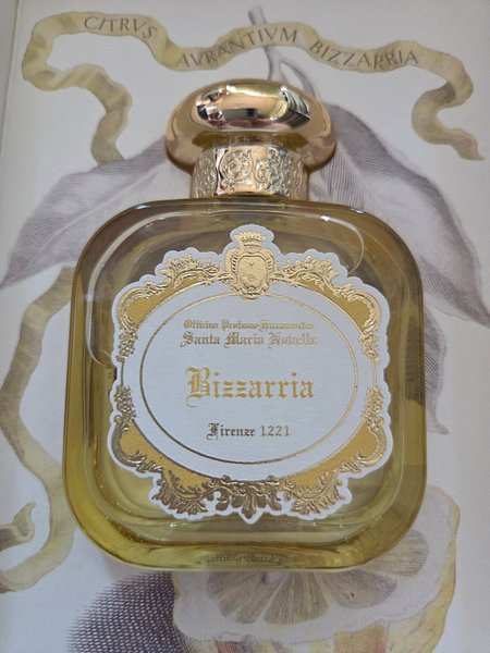 18755.jpg