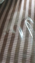 input_image_2745303.jpg