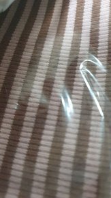 input_image_2745303.jpg