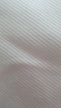 input_image_2796930.jpg