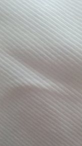 input_image_2796930.jpg