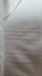 input_image_3120287.jpg