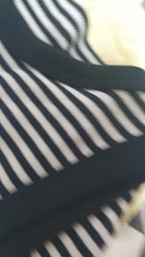 input_image_3228274.jpg