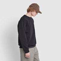 Model’s INFO