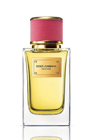 DOLCE & GABBANA BEAUTY(돌체앤가바나 뷰티) 벨벳 로즈 오 드 퍼퓸 100ml | 신세계V