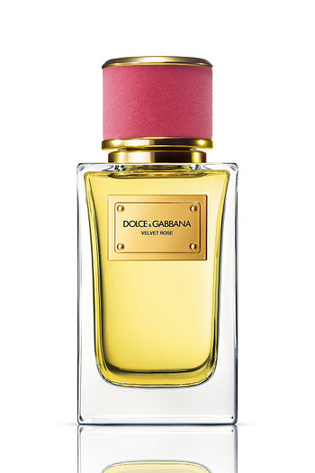 DOLCE & GABBANA BEAUTY(돌체앤가바나 뷰티) 벨벳 로즈 오 드 퍼퓸 100ml | 신세계V