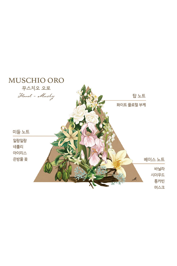 무스치오 오로 오드코롱 50ml
